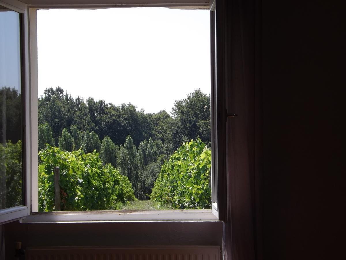 La Petite Auberge Comps  エクステリア 写真
